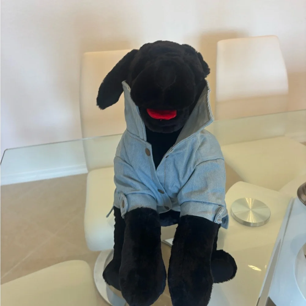 Denim Dog Jacket - Daddy's Princess 👑